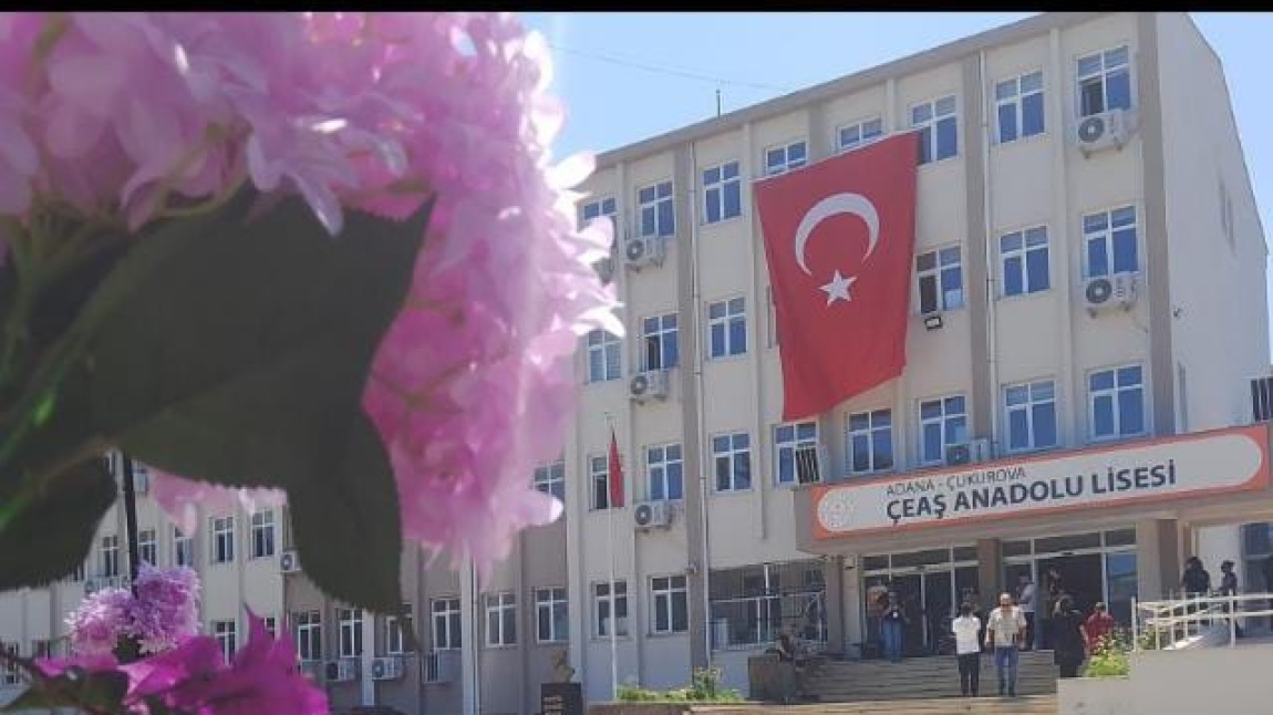 Okulumuza Yerleşen Öğrenci ve Değerli Velilerimizin Dikkatine